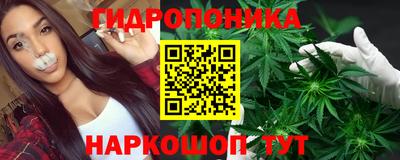 ALPHA PVP Кингисепп
