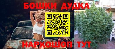 ALPHA PVP Кингисепп