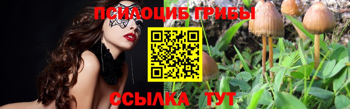 Котельники  сколько стоит  Галлюциногенные грибы прущие грибы  Вход с VPN  Псилоцибиновые грибы мухоморы 